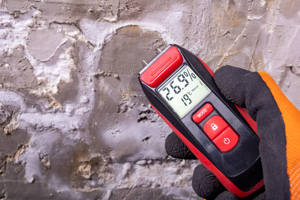 Best Best Mold Removal Companies  in Punaluu, HI