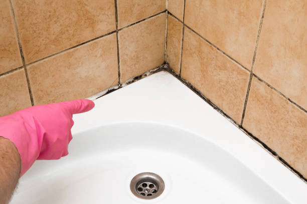 Best Mold Cleaning Services  in Punaluu, HI